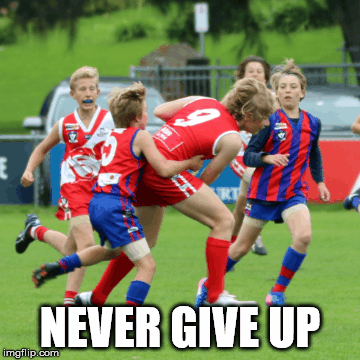 NEVER GIVE UP | image tagged in gifs | made w/ Imgflip images-to-gif maker