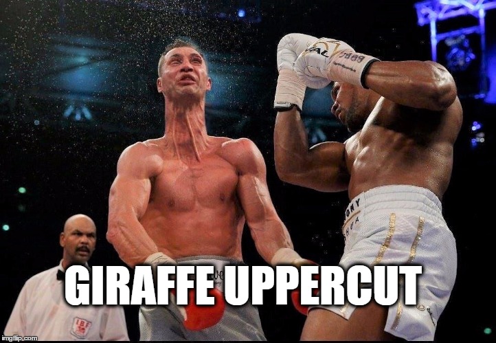 Giraffe Uppercut GIRAFFE UPPERCUT image tagged in boxing,face punch,punch,b...