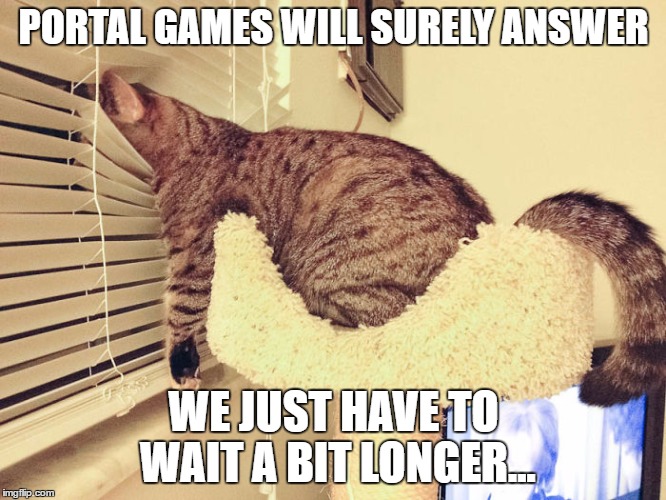 Waiting Cat | PORTAL GAMES WILL SURELY ANSWER; WE JUST HAVE TO WAIT A BIT LONGER... | image tagged in waiting cat | made w/ Imgflip meme maker