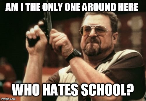 Am I The Only One Around Here Meme | AM I THE ONLY ONE AROUND HERE; WHO HATES SCHOOL? | image tagged in memes,am i the only one around here | made w/ Imgflip meme maker