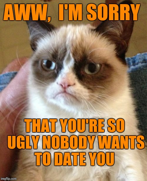 Grumpy Cat Meme | AWW,  I'M SORRY THAT YOU'RE SO UGLY NOBODY WANTS TO DATE YOU | image tagged in memes,grumpy cat | made w/ Imgflip meme maker