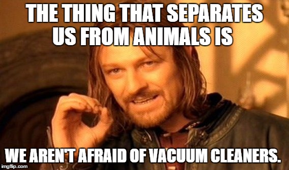 One Does Not Simply Meme | THE THING THAT SEPARATES US FROM ANIMALS IS; WE AREN'T AFRAID OF VACUUM CLEANERS. | image tagged in memes,one does not simply | made w/ Imgflip meme maker