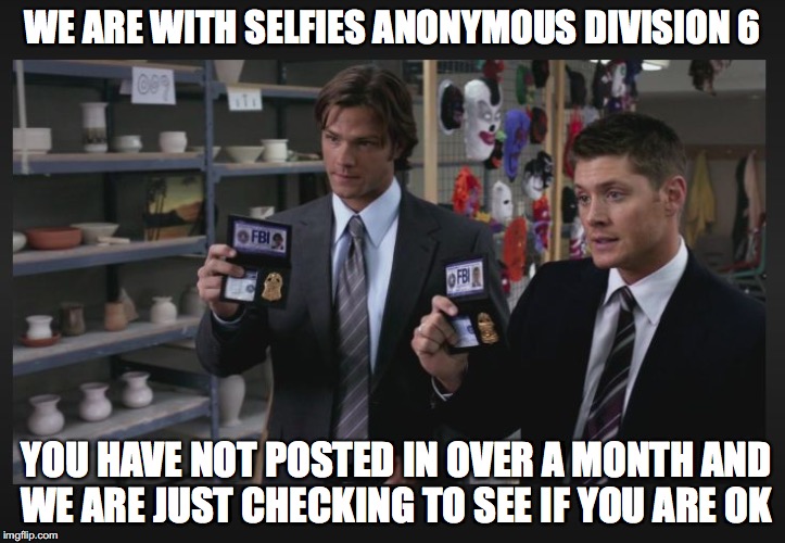 WE ARE WITH SELFIES ANONYMOUS DIVISION 6; YOU HAVE NOT POSTED IN OVER A MONTH AND WE ARE JUST CHECKING TO SEE IF YOU ARE OK | image tagged in division 6 | made w/ Imgflip meme maker