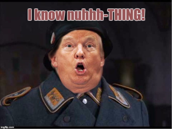 I know nuhhh-THING! | image tagged in trump | made w/ Imgflip meme maker