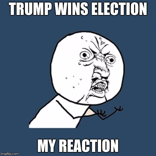 Y U No | TRUMP WINS ELECTION; MY REACTION | image tagged in memes,y u no | made w/ Imgflip meme maker