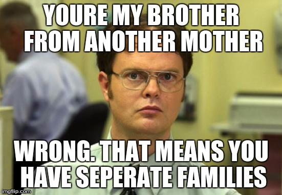 Dwight Schrute | YOURE MY BROTHER FROM ANOTHER MOTHER; WRONG. THAT MEANS YOU HAVE SEPERATE FAMILIES | image tagged in memes,dwight schrute | made w/ Imgflip meme maker