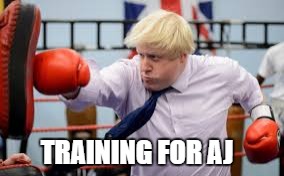 TRAINING FOR AJ | image tagged in boxing borris | made w/ Imgflip meme maker
