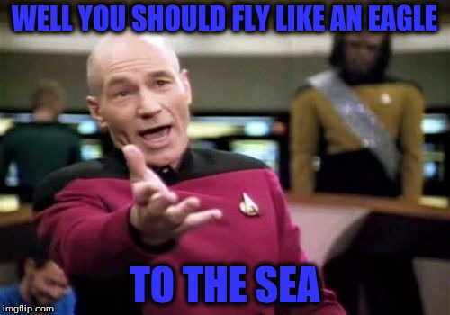 Picard Wtf Meme | WELL YOU SHOULD FLY LIKE AN EAGLE TO THE SEA | image tagged in memes,picard wtf | made w/ Imgflip meme maker