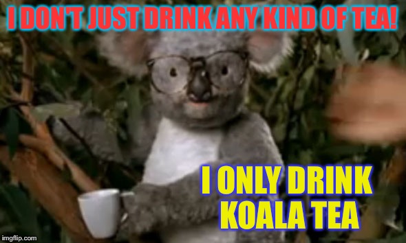 I am Koala fried | I DON'T JUST DRINK ANY KIND OF TEA! I ONLY DRINK KOALA TEA | image tagged in memes,koala,tea | made w/ Imgflip meme maker