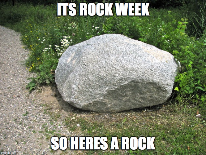 did i do good? | ITS ROCK WEEK; SO HERES A ROCK | image tagged in a rock | made w/ Imgflip meme maker