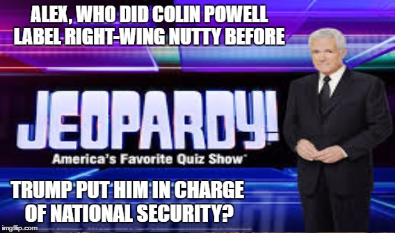 Foreign Agent Cover Up | ALEX, WHO DID COLIN POWELL LABEL RIGHT-WING NUTTY BEFORE; TRUMP PUT HIM IN CHARGE OF NATIONAL SECURITY? | image tagged in michael flynn | made w/ Imgflip meme maker