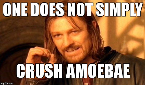 One Does Not Simply | ONE DOES NOT SIMPLY; CRUSH AMOEBAE | image tagged in memes,one does not simply | made w/ Imgflip meme maker
