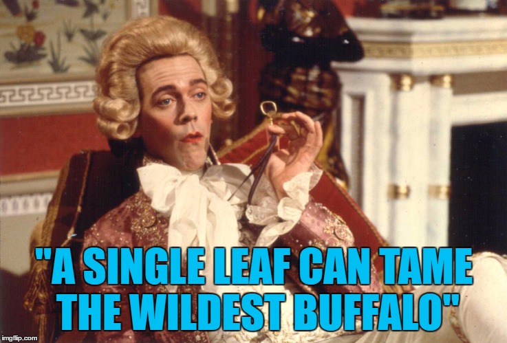 "A SINGLE LEAF CAN TAME THE WILDEST BUFFALO" | made w/ Imgflip meme maker