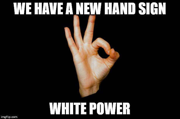 WE HAVE A NEW HAND SIGN; WHITE POWER | image tagged in okay | made w/ Imgflip meme maker