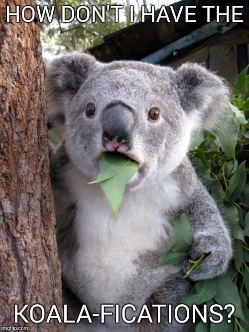 Surprised Koala | HOW DON'T I HAVE THE; KOALA-FICATIONS? | image tagged in memes,surprised koala | made w/ Imgflip meme maker