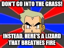 Professor Oak Meme | DON'T GO INTO THE GRASS! INSTEAD, HERE'S A LIZARD THAT BREATHES FIRE | image tagged in memes,professor oak | made w/ Imgflip meme maker