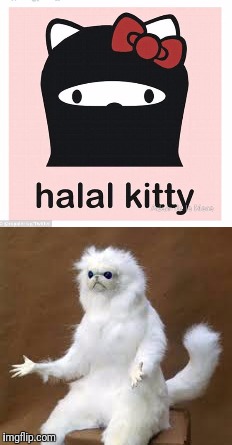 Meow ? | . | image tagged in halal,cat | made w/ Imgflip meme maker
