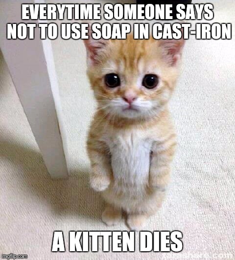 Cute Cat | EVERYTIME SOMEONE SAYS NOT TO USE SOAP IN CAST-IRON; A KITTEN DIES | image tagged in memes,cute cat | made w/ Imgflip meme maker