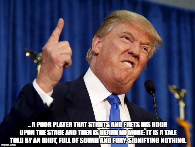 Donald Trump 13 | .. A POOR PLAYER THAT STRUTS AND FRETS HIS HOUR UPON THE STAGE AND THEN IS HEARD NO MORE: IT IS A TALE TOLD BY AN IDIOT, FULL OF SOUND AND FURY, SIGNIFYING NOTHING. | image tagged in donald trump 13 | made w/ Imgflip meme maker