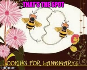 THAT'S THE SPOT | made w/ Imgflip meme maker