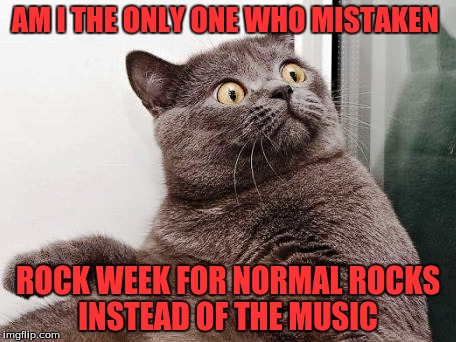 Am I   | AM I THE ONLY ONE WHO MISTAKEN; ROCK WEEK FOR NORMAL ROCKS INSTEAD OF THE MUSIC | image tagged in cats,rock week,pinheadpokemanz | made w/ Imgflip meme maker
