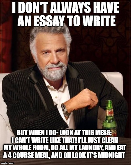 The Most Interesting Man In The World Meme | I DON'T ALWAYS HAVE AN ESSAY TO WRITE; BUT WHEN I DO- LOOK AT THIS MESS; I CAN'T WRITE LIKE THAT! I'LL JUST CLEAN MY WHOLE ROOM, DO ALL MY LAUNDRY, AND EAT A 4 COURSE MEAL, AND OH LOOK IT'S MIDNIGHT | image tagged in memes,the most interesting man in the world | made w/ Imgflip meme maker