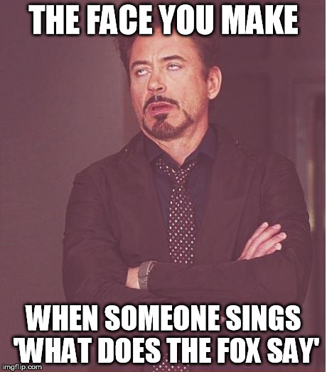 Face You Make Robert Downey Jr Meme | THE FACE YOU MAKE; WHEN SOMEONE SINGS 'WHAT DOES THE FOX SAY' | image tagged in memes,face you make robert downey jr | made w/ Imgflip meme maker