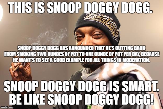 Snoop Dogg | THIS IS SNOOP DOGGY DOGG. SNOOP DOGGY DOGG HAS ANNOUNCED THAT HE'S CUTTING BACK FROM SMOKING TWO OUNCES OF POT TO ONE OUNCE OF POT PER DAY, BECAUSE HE WANT'S TO SET A GOOD EXAMPLE FOR ALL THINGS IN MODERATION. SNOOP DOGGY DOGG IS SMART. BE LIKE SNOOP DOGGY DOGG! | image tagged in snoop dogg | made w/ Imgflip meme maker