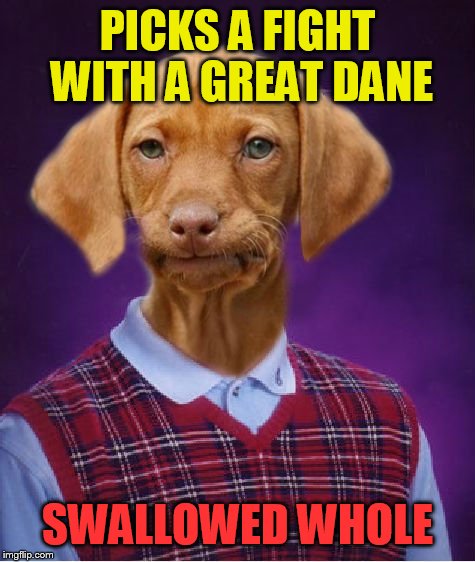 Bad Luck Raydog | PICKS A FIGHT WITH A GREAT DANE; SWALLOWED WHOLE | image tagged in bad luck raydog | made w/ Imgflip meme maker