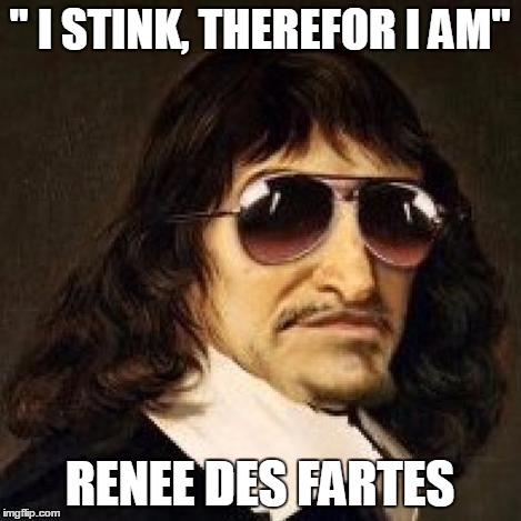 " I STINK, THEREFOR I AM" RENEE DES FARTES | made w/ Imgflip meme maker
