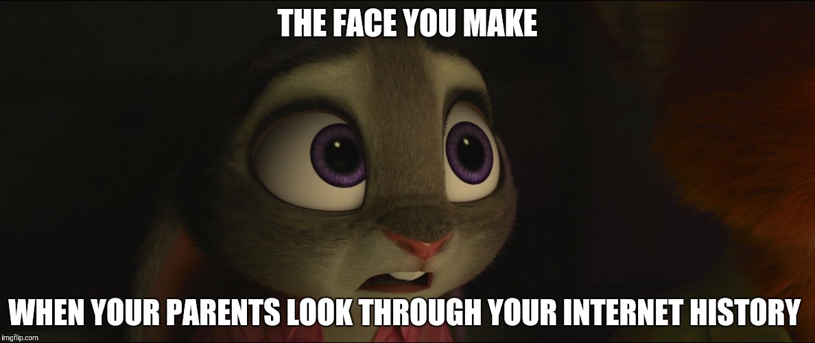 Judy about to be caught | THE FACE YOU MAKE; WHEN YOUR PARENTS LOOK THROUGH YOUR INTERNET HISTORY | image tagged in judy hopps nervous,zootopia,judy hopps,funny,memes | made w/ Imgflip meme maker