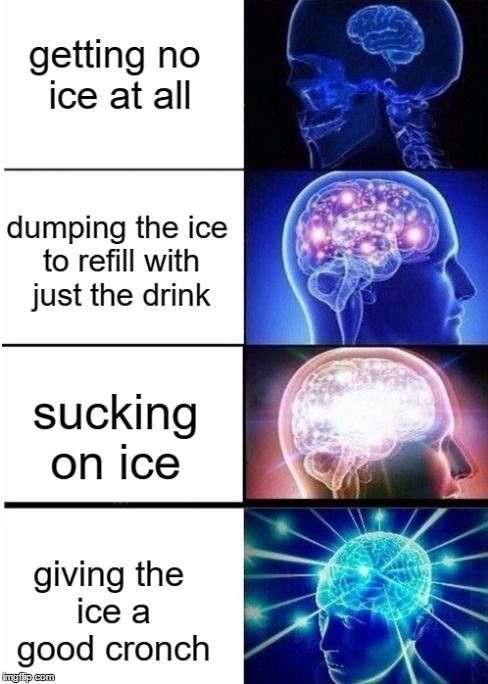 levels of intelligence (ice eaters) | image tagged in ice eaters,levels of intelligence | made w/ Imgflip meme maker