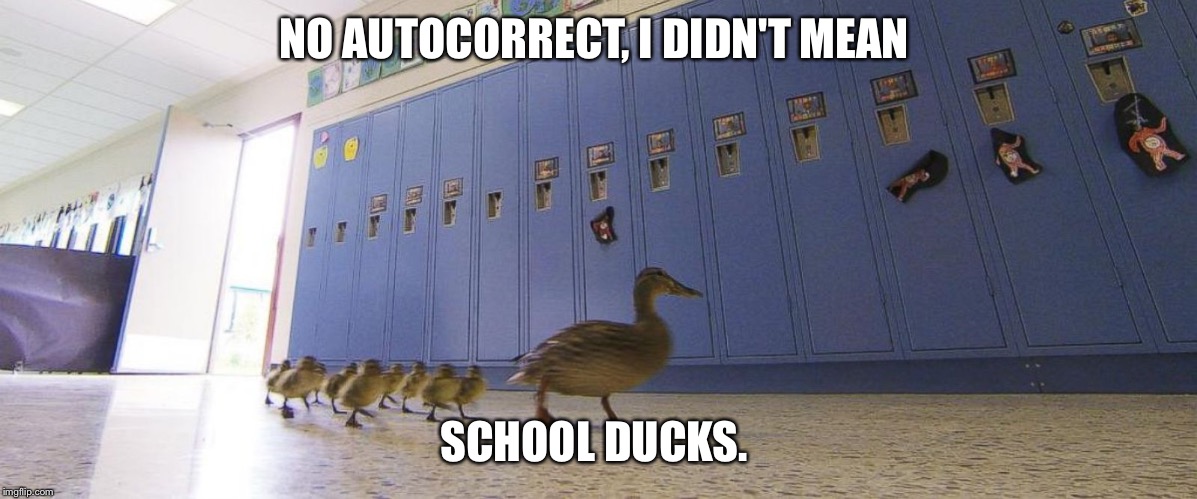 School ducking ducks sometimes.  | NO AUTOCORRECT, I DIDN'T MEAN; SCHOOL DUCKS. | image tagged in autocorrect,ducks,school | made w/ Imgflip meme maker
