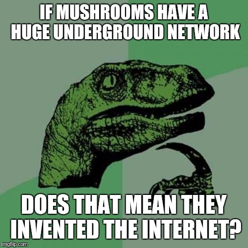 Philosoraptor | IF MUSHROOMS HAVE A HUGE UNDERGROUND NETWORK; DOES THAT MEAN THEY INVENTED THE INTERNET? | image tagged in memes,philosoraptor | made w/ Imgflip meme maker