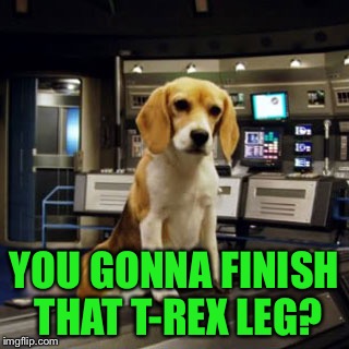 Captain Archer's Beagle Porthos | YOU GONNA FINISH THAT T-REX LEG? | image tagged in captain archer's beagle porthos | made w/ Imgflip meme maker