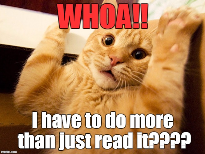 surprised kitty | WHOA!! I have to do more than just read it???? | image tagged in surprised kitty | made w/ Imgflip meme maker