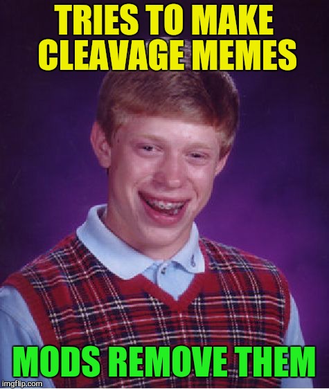 Bad Luck Brian Meme | TRIES TO MAKE CLEAVAGE MEMES MODS REMOVE THEM | image tagged in memes,bad luck brian | made w/ Imgflip meme maker