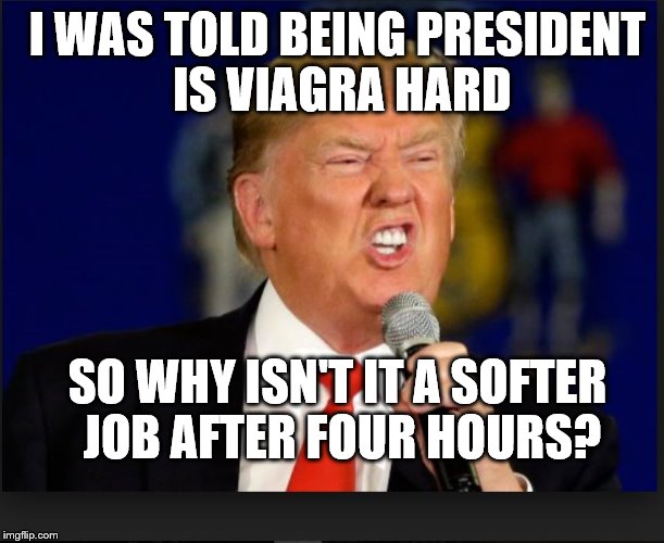 trump | I WAS TOLD BEING PRESIDENT IS VIAGRA HARD; SO WHY ISN'T IT A SOFTER JOB AFTER FOUR HOURS? | image tagged in trump,viagra,politics,president trump,president,hard work | made w/ Imgflip meme maker
