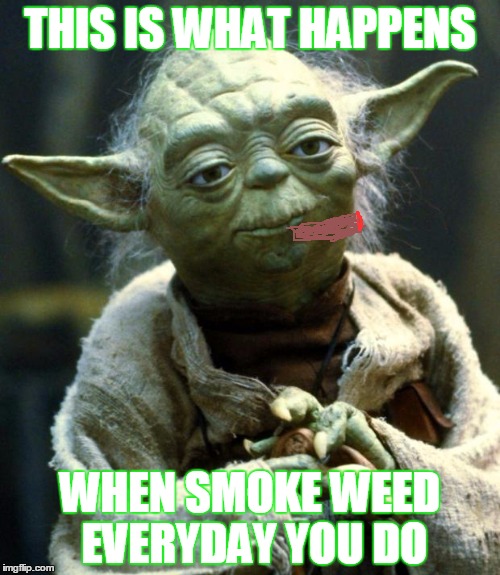 Star Wars Yoda | THIS IS WHAT HAPPENS; WHEN SMOKE WEED EVERYDAY YOU DO | image tagged in memes,star wars yoda | made w/ Imgflip meme maker