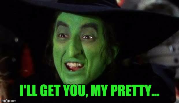 I'LL GET YOU, MY PRETTY... | made w/ Imgflip meme maker