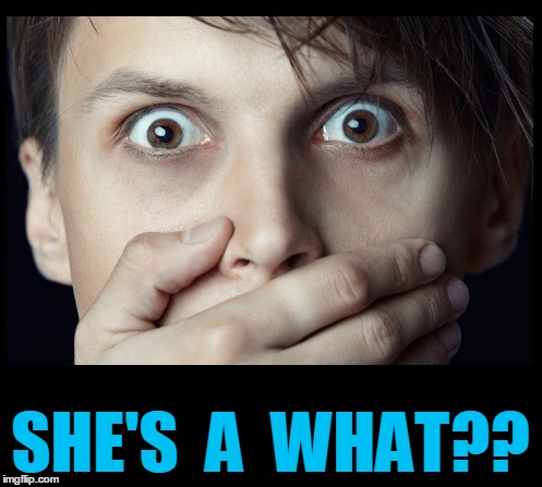 oh my | SHE'S  A  WHAT?? | image tagged in oh my | made w/ Imgflip meme maker