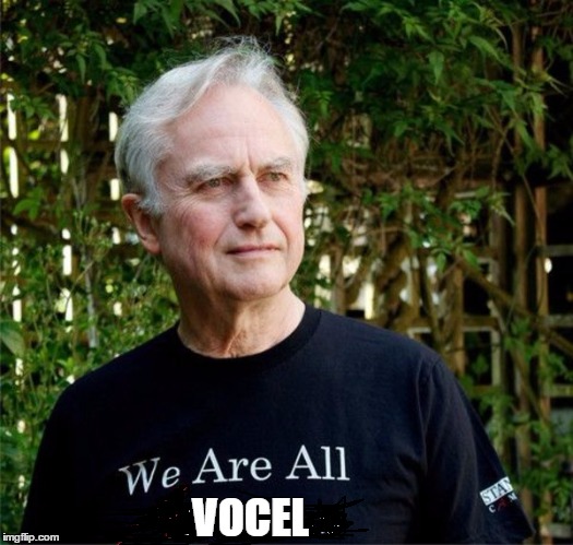 we are all meme | VOCEL | image tagged in we are all meme | made w/ Imgflip meme maker