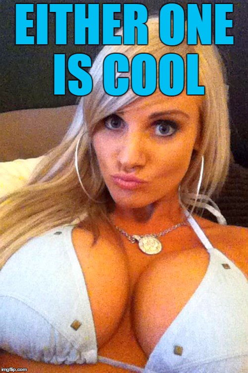EITHER ONE IS COOL | image tagged in cleavage | made w/ Imgflip meme maker