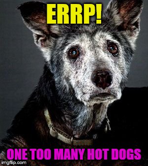 ERRP! ONE TOO MANY HOT DOGS | made w/ Imgflip meme maker