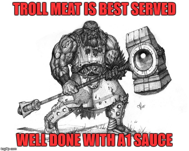 Troll Smasher | TROLL MEAT IS BEST SERVED; WELL DONE WITH A1 SAUCE | image tagged in troll smasher | made w/ Imgflip meme maker