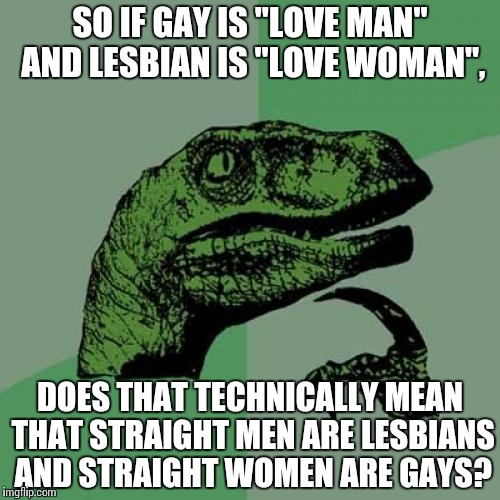 Philosoraptor | SO IF GAY IS "LOVE MAN" AND LESBIAN IS "LOVE WOMAN", DOES THAT TECHNICALLY MEAN THAT STRAIGHT MEN ARE LESBIANS AND STRAIGHT WOMEN ARE GAYS? | image tagged in memes,philosoraptor | made w/ Imgflip meme maker