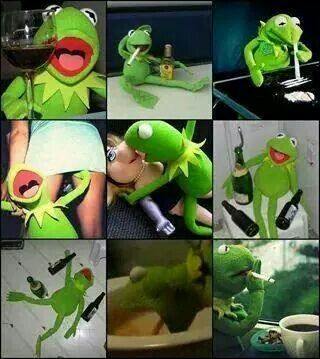 High Quality "KERMIT, MARIJUANA IS SAFER THAN BEING A DOUCHE ON ALCOHOL" Blank Meme Template