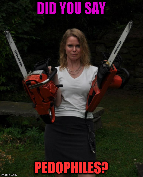 Chainsaw Chick | DID YOU SAY; PEDOPHILES? | image tagged in chainsaw chick | made w/ Imgflip meme maker