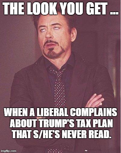 robert downey jr | THE LOOK YOU GET ... WHEN A LIBERAL COMPLAINS ABOUT TRUMP'S TAX PLAN THAT S/HE'S NEVER READ. | image tagged in robert downey jr | made w/ Imgflip meme maker