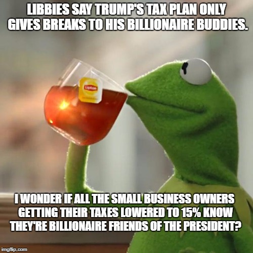 But That's None Of My Business Meme | LIBBIES SAY TRUMP'S TAX PLAN ONLY GIVES BREAKS TO HIS BILLIONAIRE BUDDIES. I WONDER IF ALL THE SMALL BUSINESS OWNERS GETTING THEIR TAXES LOWERED TO 15% KNOW THEY'RE BILLIONAIRE FRIENDS OF THE PRESIDENT? | image tagged in memes,but thats none of my business,kermit the frog | made w/ Imgflip meme maker